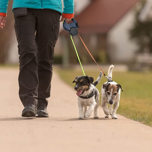 3M AUTOMATIC DOUBLE LEASH